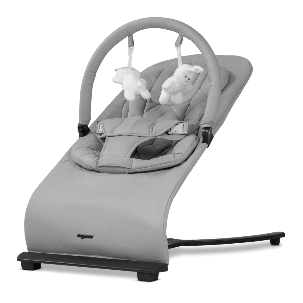 Wippen Beruhigendes Schaukeln fr dein Baby Wippen Beruhigendes Schaukeln fr dein Baby