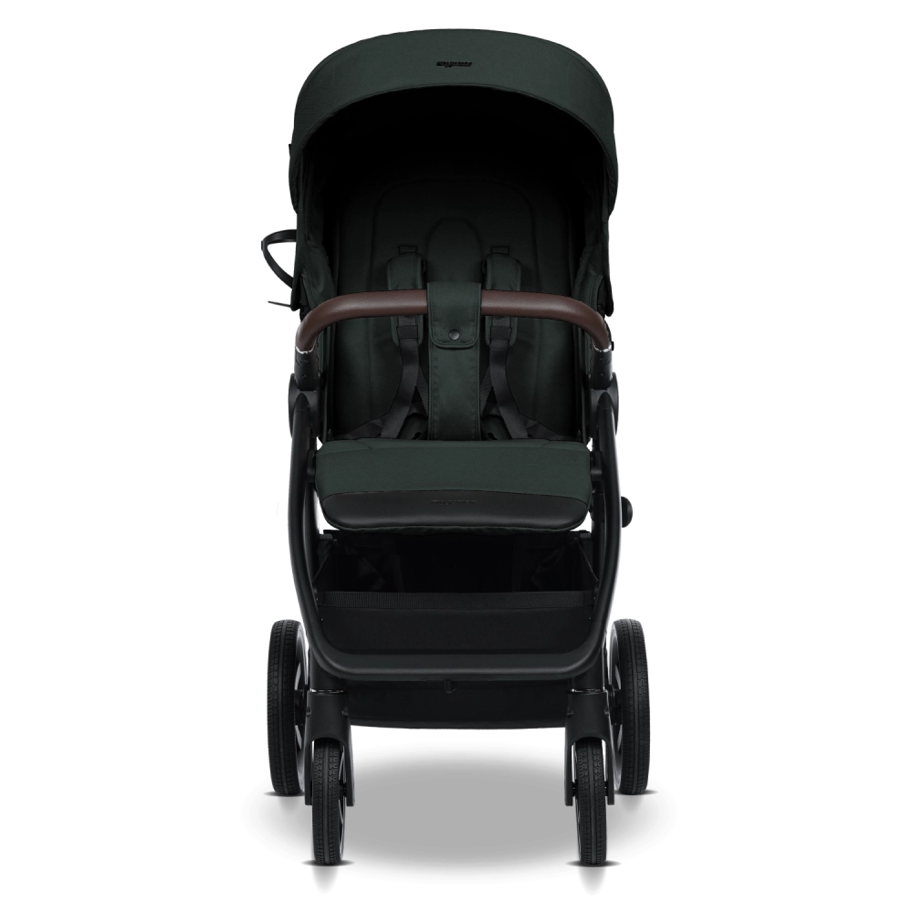 my junior PLIA 2 Pine Forest