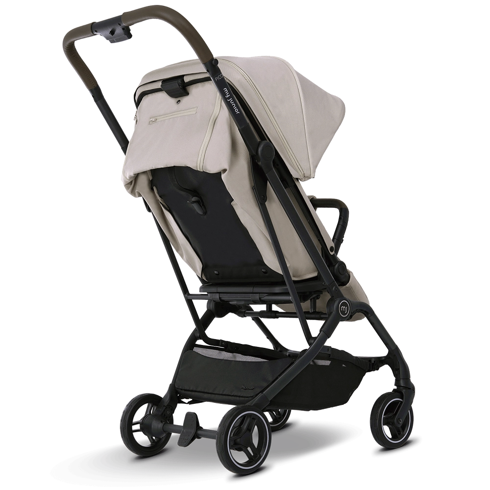 my junior PICO 360° Chai Latte