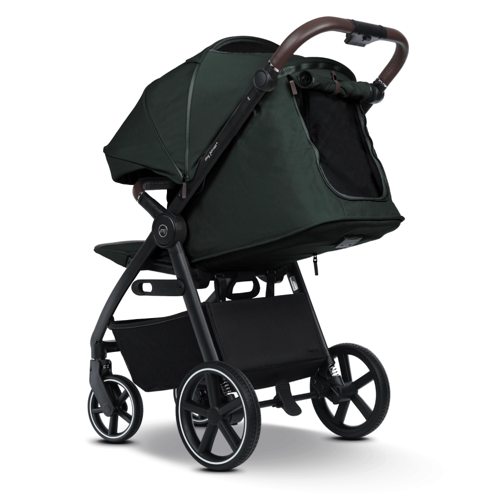 my junior PLIA 2 Pine Forest