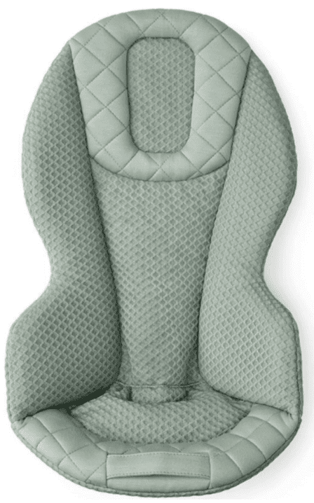 Ergobaby Evolve Bouncer Sage Green Mesh