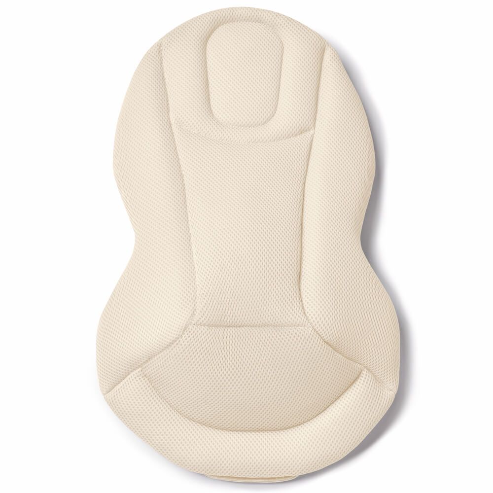 Ergobaby Evolve Bouncer 