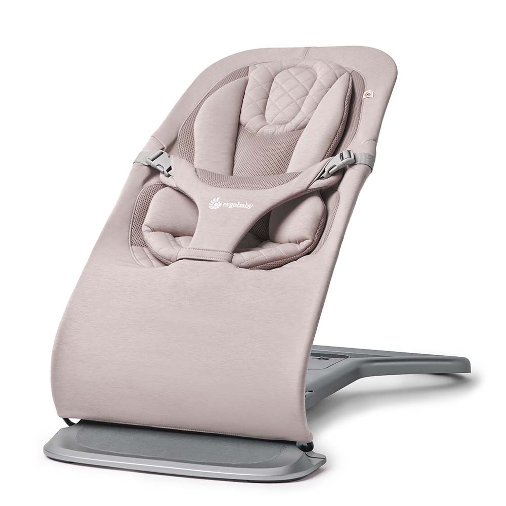 Ergobaby Evolve Bouncer 