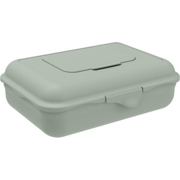 Rotho Feuchttücherbox Thilo 1,25l Sage Green