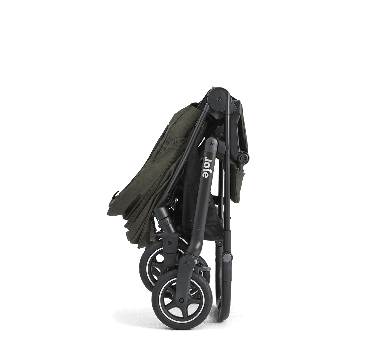 Joie Versadrift Fern