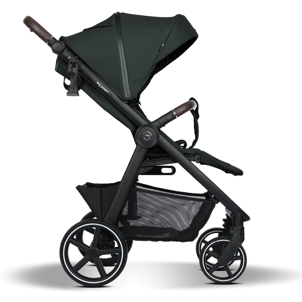 my junior PLIA 2 Pine Forest