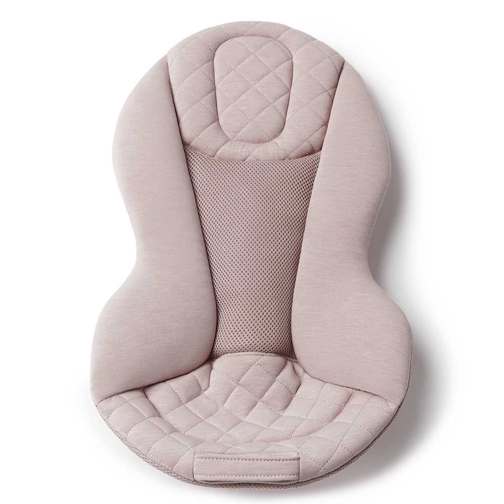 Ergobaby Evolve Bouncer 